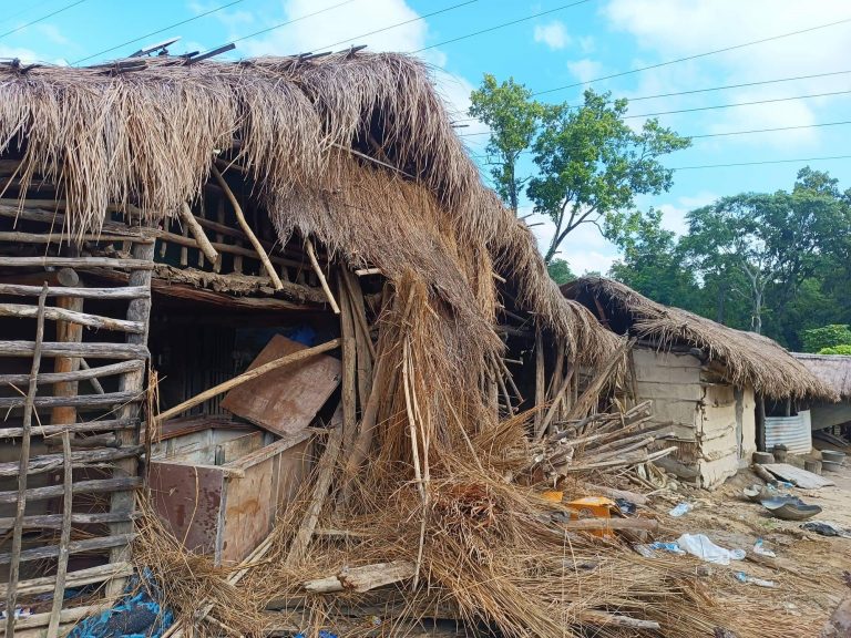 जंगली हातीले बस्तीमा आतंक मचाएपछि स्थानीय त्रसित